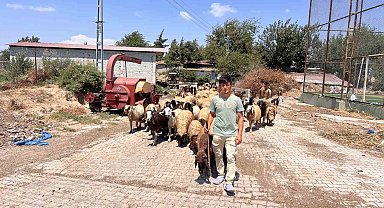 Öksüz ve yetim çoban Suriyeli Abdurrahman'dan kendine sahip çıkan aileye yürek ısıtan teşekkür