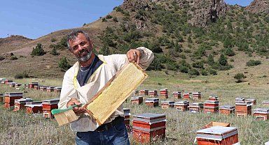 Oltu'da sezonun ilk bal hasadı yapıldı