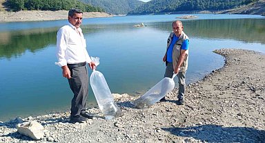 Orhaneli'de göletler sazan yavrularıyla buluştu