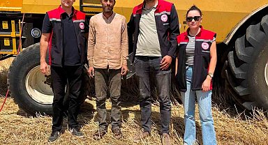 Otlukbeli'nde hasat mesaisi sürüyor