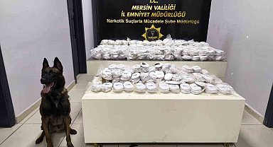 Piyasa değeri 13 milyon 960 bin lira olan 3 kilo 490 gram kokain ele geçirildi