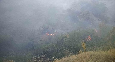Pütürge'de orman yangını