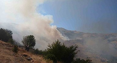Pütürge'deki arazi yangınına müdahale sürüyor