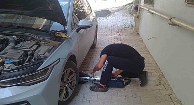 Reyhanlı ve Defne'de mahsur kalan kediler kurtarıldı