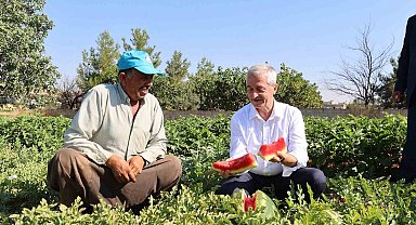 Şahinbey'den çiftçilere 53 milyon fide desteği