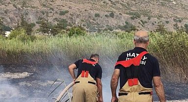Samandağ'da bahçe yangını büyümeden söndürüldü