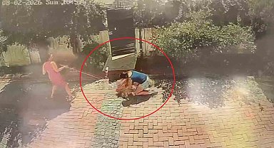 Samsun'da pitbull dehşeti: Küçük kızı yere savurdu, köpeğini ise ağır yaraladı