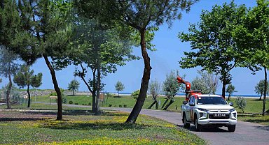 Samsun'da sivrisinek ve haşerelere karşı mücadele