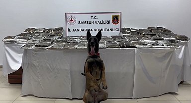 Samsun'da tıra gizlenmiş 132 kilo toz esrar ele geçirildi