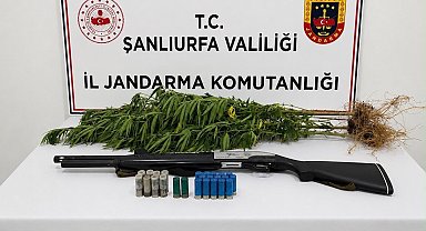 Şanlıurfa'da uyuşturucu madde ele geçirildi: 1 gözaltı