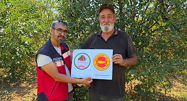 Şaphane Vişnesi için tescil çalışmaları sürüyor