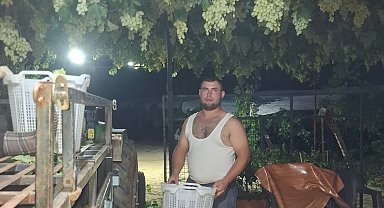 Sarıgöl'de üzüm için gece mesaisi