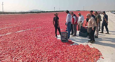 Saruhanlı'da 1.500 ton kuru domates ihraç ediliyor