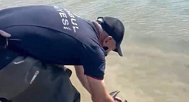 Sazlıbosna Barajı'nda misina ve ağlara takılan karabatağı itfaiye kurtardı