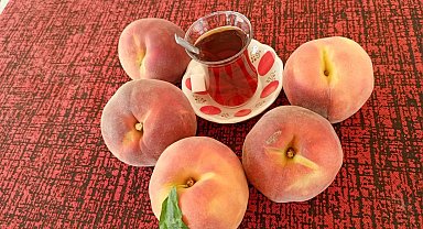 Şeftali fiyatları 1 günde yarıya düştü