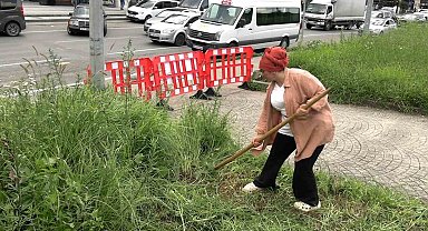 Şehir merkezinde tırpanla geçim mücadelesi
