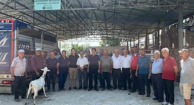 Seydikemer'de yangında hayvanlarını kaybeden çiftçilere küçükbaş hayvan desteği