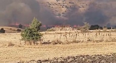 Seyitgazi'de tarım arazisinde yangın çıktı