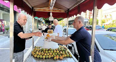 Sıcaklarla birlikte dikenli incir satışları arttı