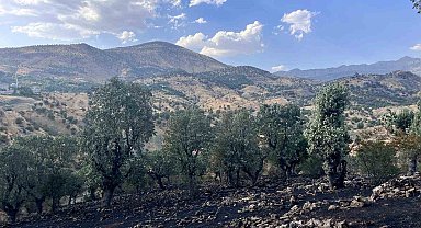 Siirt'te 5 ayrı noktada yangın alarmı: 4 bölgede söndürüldü, Çamtaşı'nda müdahale sürüyor