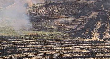 Siirt'te anız yangını meyve bahçesine sıçradı, 100 ağaç zarar gördü