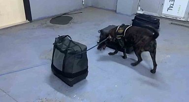 Silopi'de kıyafetlere emdirilmiş 7 kilo metamfetamin ele geçirildi