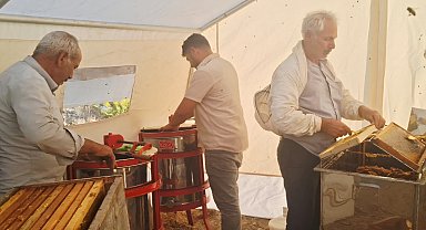 Sincik'te bal hasadı başladı