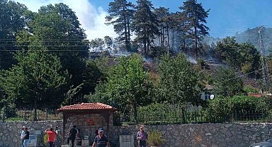 Sinop'taki orman yangınıyla ilgili 1 kişi gözaltında