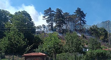 Sinop'taki orman yangınıyla ilgili 1 kişi tutuklandı