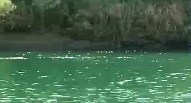 Şırnak'ta 4 kadının bindiği bot devrildi: 1 ölü