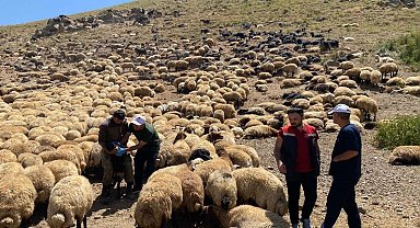 Şırnak'ta veteriner hekimlerden yaylalarda sağlık taraması ve eğitim seferberliği