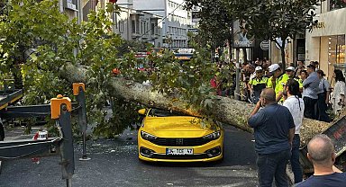 Şişli'de araçların üzerine devrilen çınar ağacı kaldırıldı