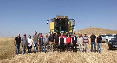Sivas'ta ilk kez toprakla buluşturulan 5 farklı çeşit buğday hasat edildi