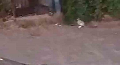 Sokak ortasında silahlı kavga: 3 yaralı
