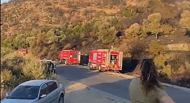 Söke'deki orman yangını kontrol altına alındı