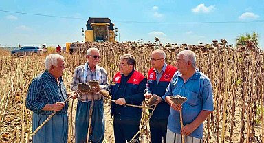 Tarsus'ta ayçiçeğinde 4 bin 485 ton rekolte bekleniyor
