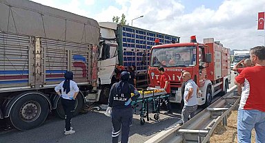 Tavuk yüklü tır, önündeki kamyona çarptı: 2 yaralı