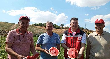 Tekirdağ karpuzu tezgâhlara çıkıyor