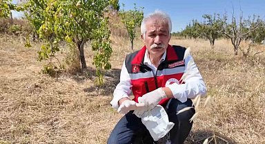 Tekirdağ'da çiftçiye tarla faresine karşı zamanında mücadele çağrısı