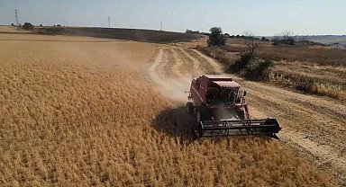 Tekirdağ'da sertifikalı nohut hasadı