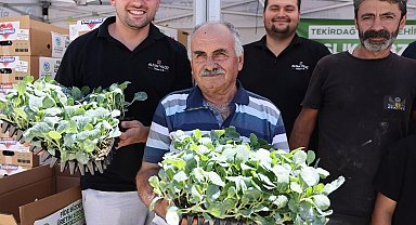 Tekirdağ'da üreticiye kışlık sebze desteği: 104 bin fide dağıtılıyor