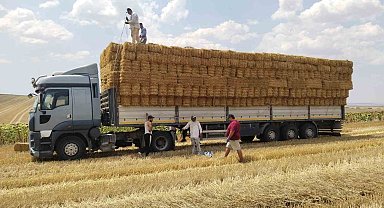 Tekirdağlı genç çiftçiden yangın bölgesindeki üreticilere saman balyası yardımı