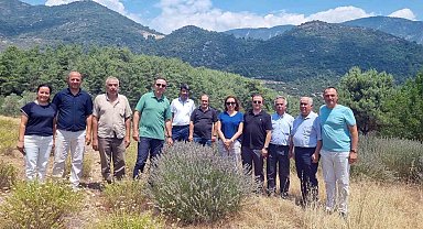 Tıbbi ve Aromatik Bitkileri yerinde inceleme