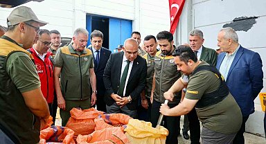 TMO, Giresun'da fındık alımına başladı