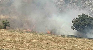 Tokat'ta otluk alandaki yangın büyümeden söndürüldü