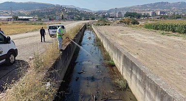 Tokat'ta sivrisinek ve haşerelere karşı kapsamlı ilaçlama seferberliği
