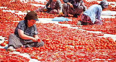 Torbalı'da "Kırmızı Altın" mesaisi