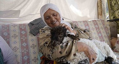Torunu gibi büyüttüğü kuzu "Boncuk" evin neşe kaynağı oldu