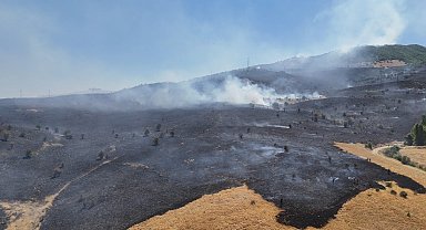 Tunceli'deki orman yangını söndürüldü