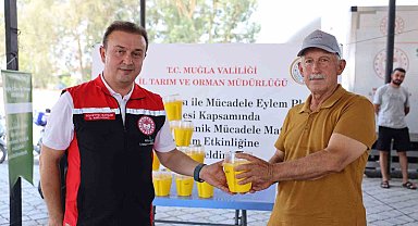 Turunçgil üreticilerine 8 bin Akdeniz Meyve Sineği tuzağı dağıtıldı